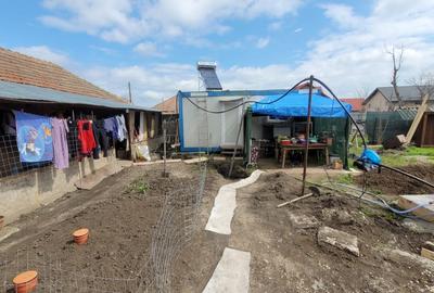 Casa batraneasca locuibila, cu teren generos de 1500 mp,IF Dascalu, langa Profi - 5