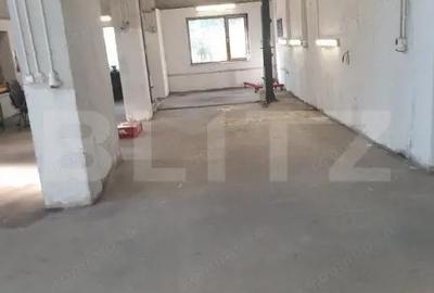 Hala/depozit/service auto in Dudovicesti, com. Simnicu de Sus - 3