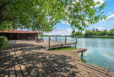 Casă cu 10 camere cu Canalizare în Snagov - 7