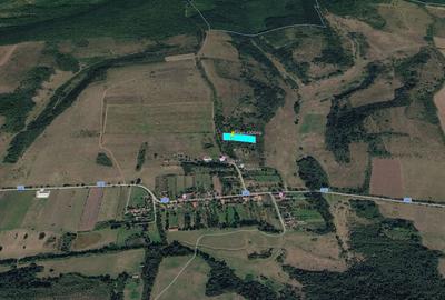 Teren agricol extravilan de 4300 mp, în Bogda - 2