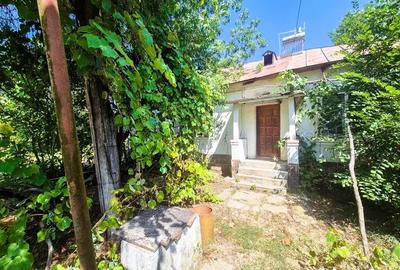 Teren de 3200 mp, în Urlueni - 12
