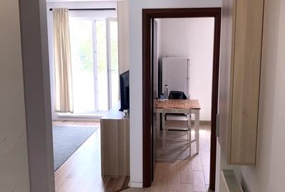 Garsonieră decomandată în Chitila - 1