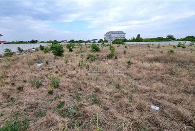 Teren 10.000 mp Giurgiului Tiparnitei Teren 10.000 mp Giurgiului Tiparnitei - 4