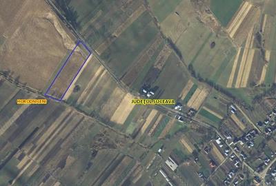 Teren de 18800 mp, în Rotopănești - 1