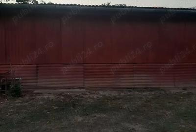 Inchiriere HALA metalica Timi?oara - 2