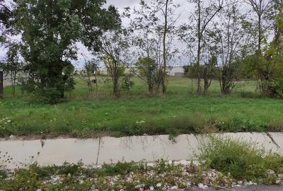 Teren de 1460 mp, în Măureni - 8