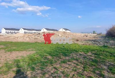 Teren Construcții intravilan de 10000 mp, în Săcălaz - 1