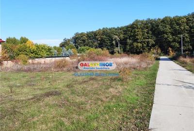 Teren intravilan 471 mp - str Timpului - Corbeanca - 8