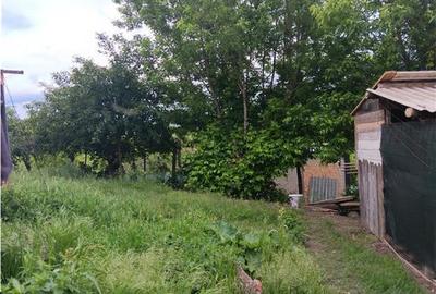 Casă cu 2 camere cu Canalizare în Lunca Cetățuii - 7