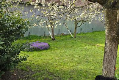 Casa individuala 4 camere si garaj in Pischia amenajata mobilata utilata pozitie excelenta - 18