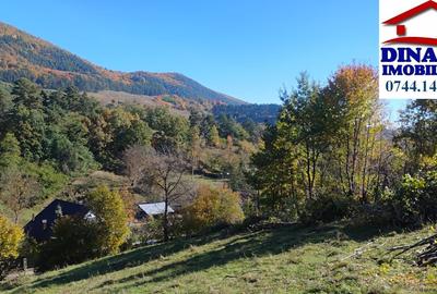 3600 mp teren intravilan, sat Bistrita, 19 Euro/mp - 2