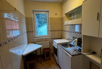 Apartament 2 camere cu priveliste asupra muntilor - 6