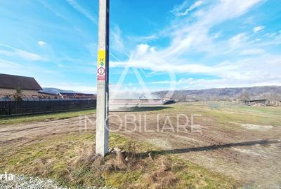 Teren de 3725 mp, în Bumbești-Pițic - 4