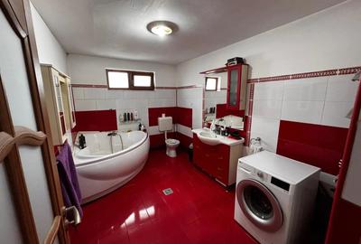 Vand Casa Padureni - 9