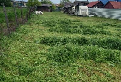 Teren Construcții intravilan de 1036 mp, în Chilia Veche - 1