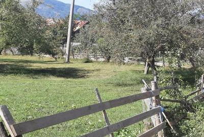 Teren de 8540 mp, în Breaza - 4