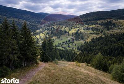 Teren de 6500 mp, în Arieșeni - 2