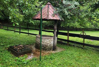 Evadare intr-un Paradis Privat: Proprietate Unica in Valenii de Munte - 11