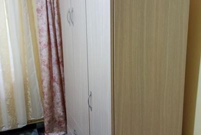 Apartament cu 2 camere decomandat în Dristor - 5