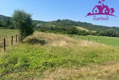 Teren de 1100 mp, în Hidiș - 1