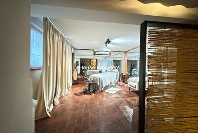 Casă cu 8 camere cu Teren 350 Mp în Herăstrău - 13