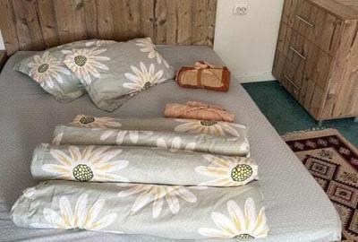 Cabana cu 4 dormitoare, foisor, ciubar, Statiunea Muntele Baisorii - 7