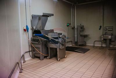 De vanzare AFACERE la cheie--CARMANGERIE--ABATOR--PREPARARE MEZELURI - 9