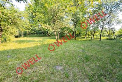 Casă individuală cu 3 camere cu Teren 1647 Mp în Lutoasa - 3