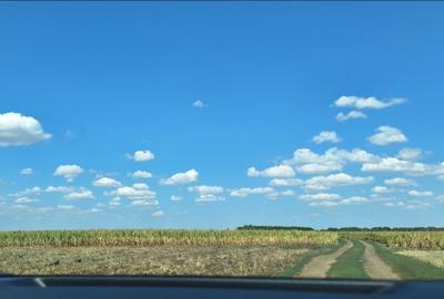 Teren agricol extravilan de 3000 mp, în Șimand - 3
