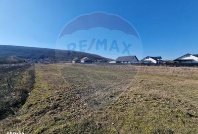 Teren de 2002 mp, în Hemeiuș - 4