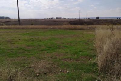 Teren de 800 mp, în Malu Mare - 2