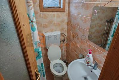 Casa tip P+1+M zona Vintila Voda - 29