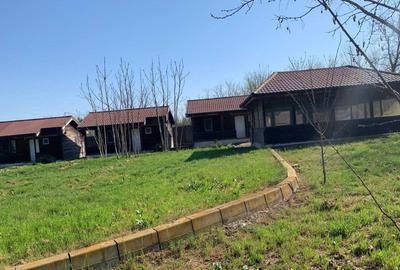 Casă cu 4 camere în Plopul - 8