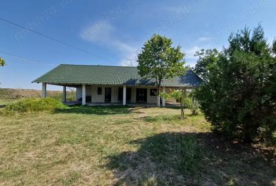 Casă cu 6 camere cu Teren 3000 Mp în Ruginești - 7