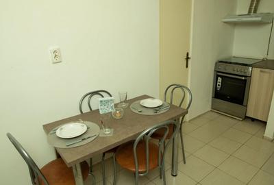 Apartament cu 2 camere decomandat, mobilat în Ultracentral - 9