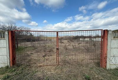 Teren Construcții intravilan de 2700 mp, în Căciulați - 2