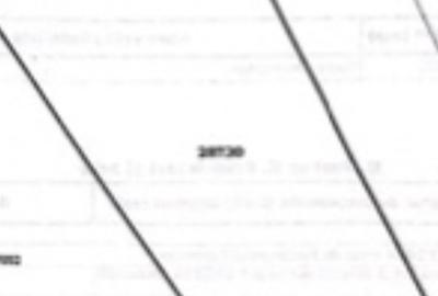 Teren 1.000 mp cu front 29 m, ideal investiție - 2