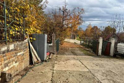 Casă cu 4 camere cu Teren 1527 Mp în Tăuții de Sus - 5