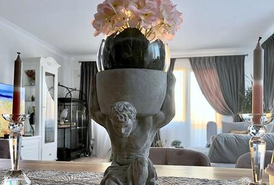 Apartament cu 3 camere în Bucium - 8