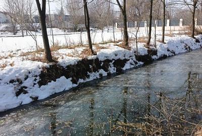 Teren de 800 mp, în Joița - 9