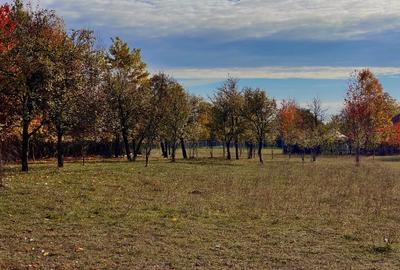 Teren Construcții intravilan de 1559 mp, în Brebu Mânăstirei - 8