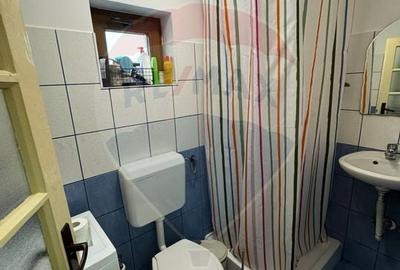 Casa / Vila noua cu 5 camere + casa batraneasca renovata - 20