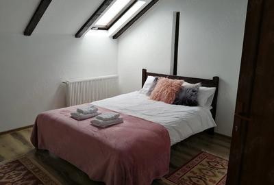 Casă cu 6 camere cu Teren 420 Mp în Paltin - 1