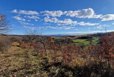 Teren de vânzare in Groși, Maramureș, 55 ari - 5