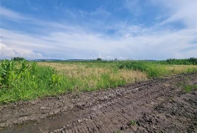 Teren intravilan de 510 mp, în Nazna - 5