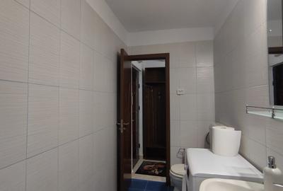 Inchiriere garsoniera decomandata in zona Tei - Teiul Doamnei - 7