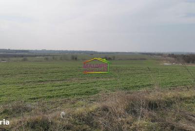 Spațiu comercial, în Tânganu - 2