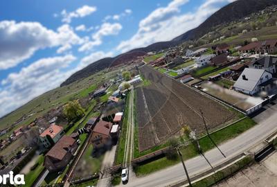 Teren de 10262 mp, în Albești - 2