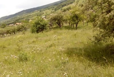 Teren de 25000 mp, în Central