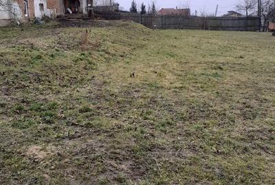 Spațiu comercial, de 3,600 mp, în Șura Mare - 2